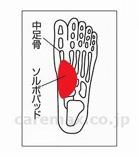 ソルボタテアーチサポーター 薄型(両足入) S 2,200円